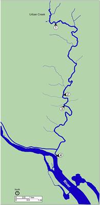 Metagenomic Sequencing and Quantitative Real-Time PCR for Fecal Pollution Assessment in an Urban Watershed